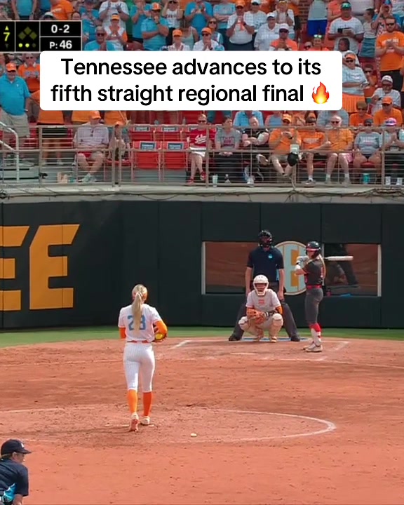 @SECNetwork