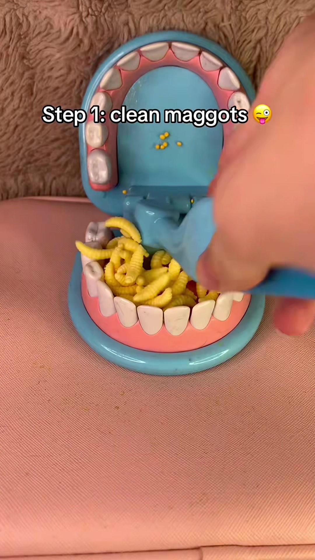 @Marcus ASMR