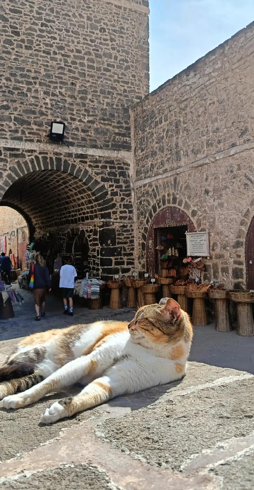@Mbark _traveling