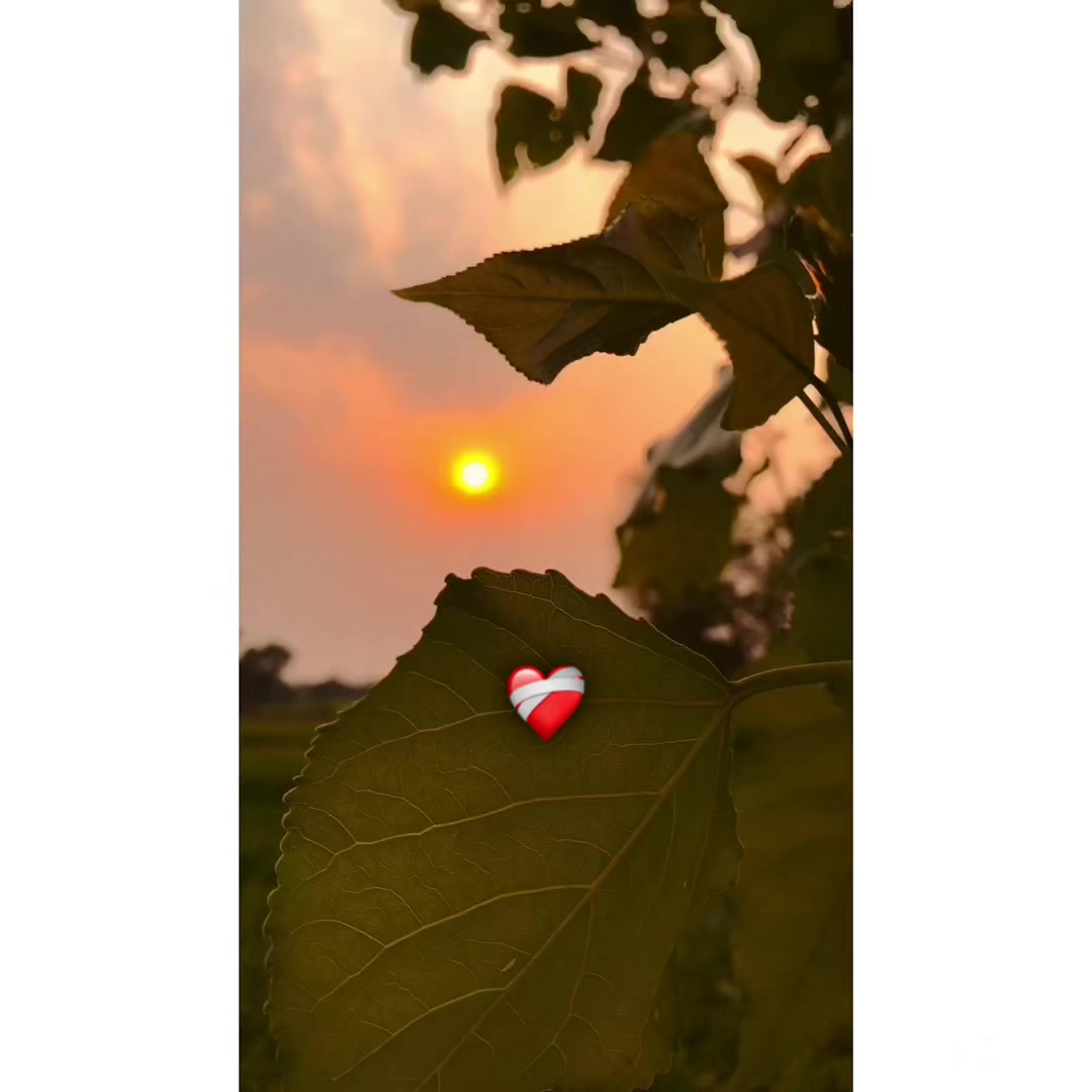@سوہنا پنجاب❤️&zwj;🩹🥀