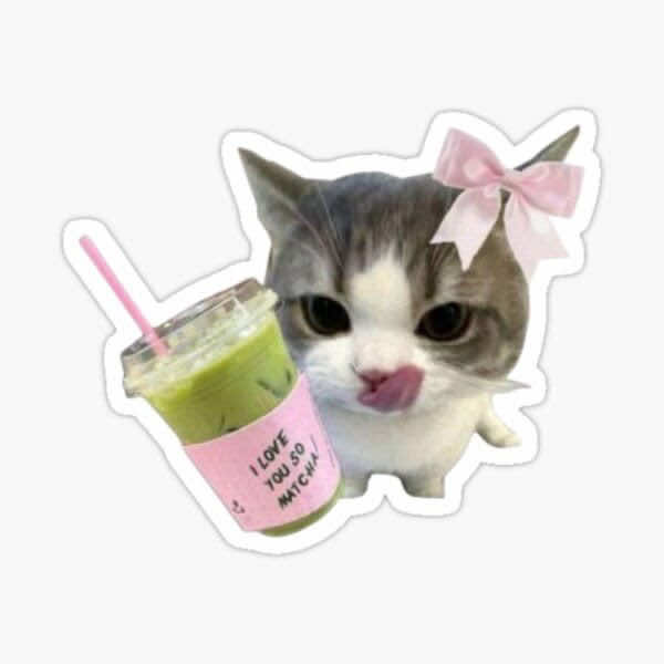 @⋆˚ ꫂ&nbsp;ၴႅ༘ ✽｡ּ ritzs28 ⋆˚ ꫂ❁｡ּ