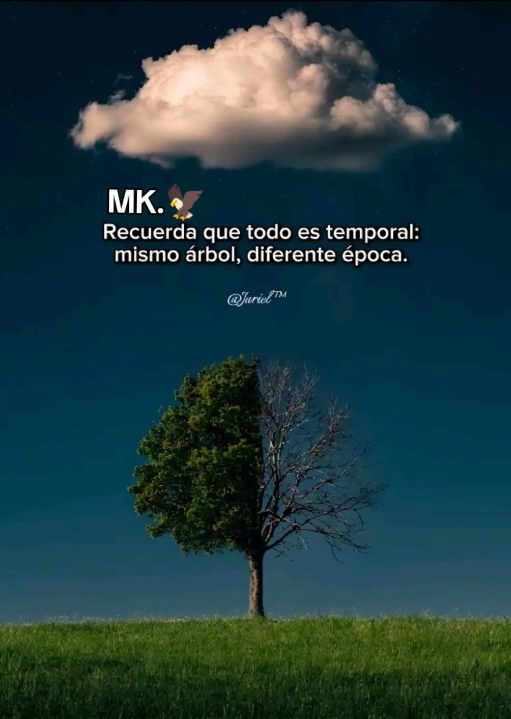 @Machita. 🦅