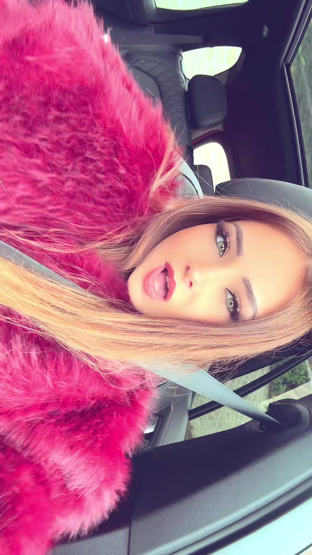 @🐆