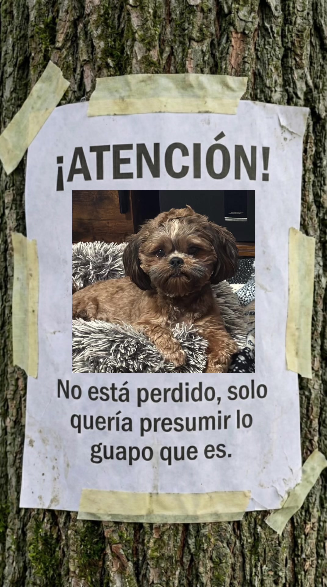@Chabely Valpez