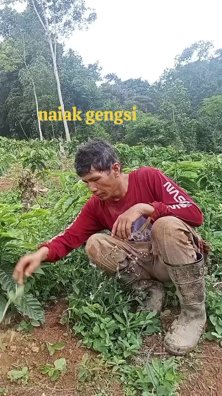 @Uda agus
