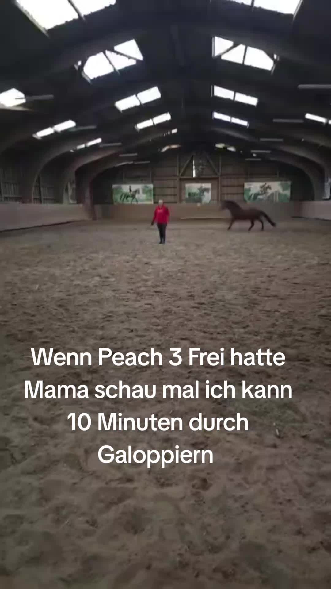 @Katinka, Peach 🐴 und Toffee🐶
