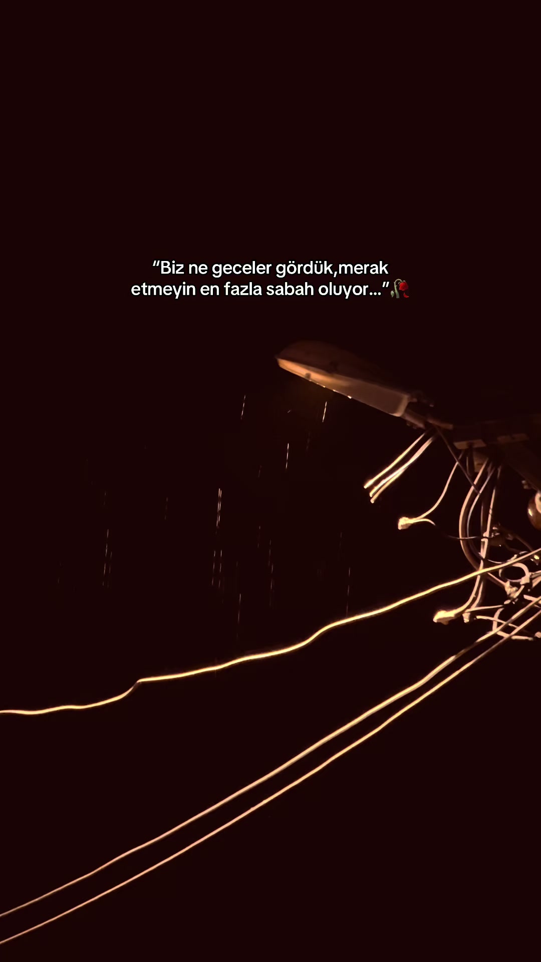 @𝘚𝘵𝘰𝘳𝘺 𝘚𝘢𝘺𝘧𝘢𝘮💫