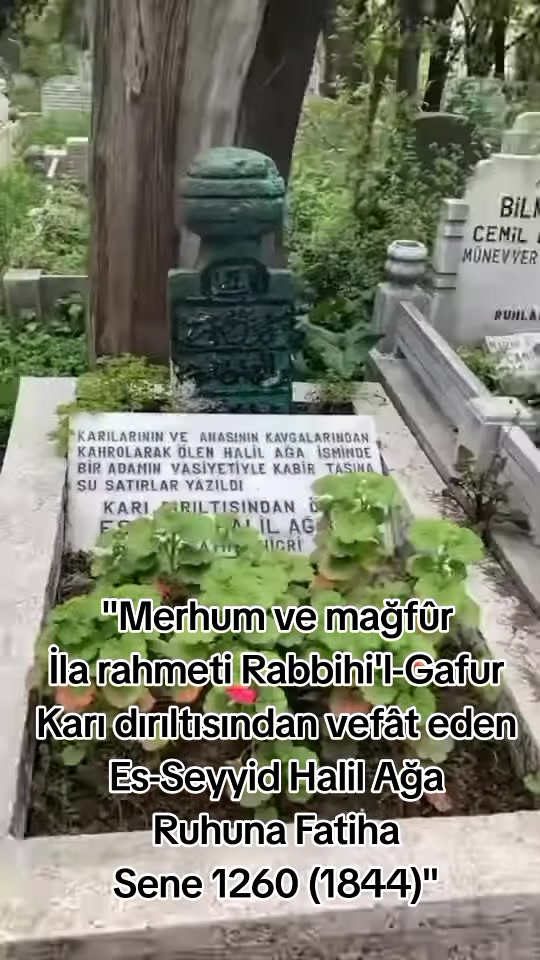 @HaydarAli