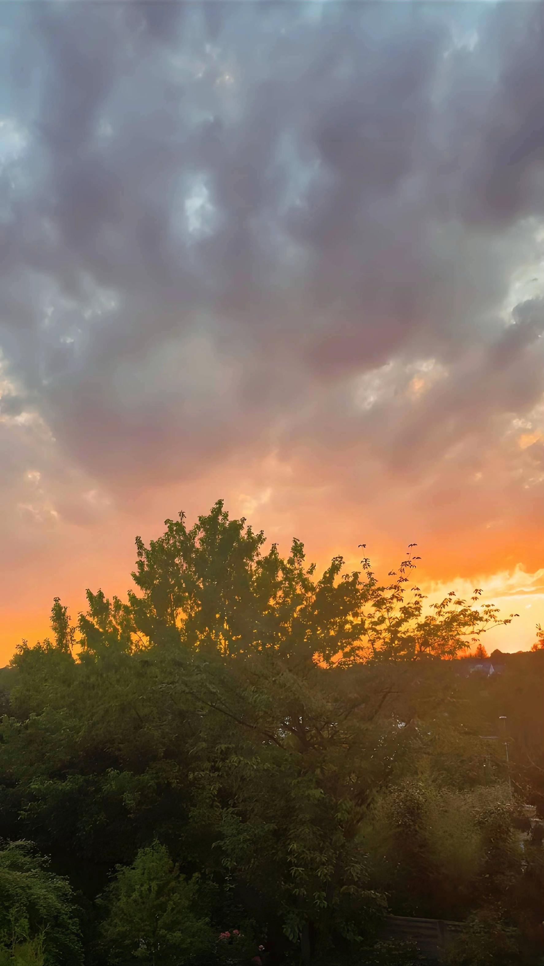 @𝑱𝒂𝒏𝒏𝒊𝒔.𝑸𝒕