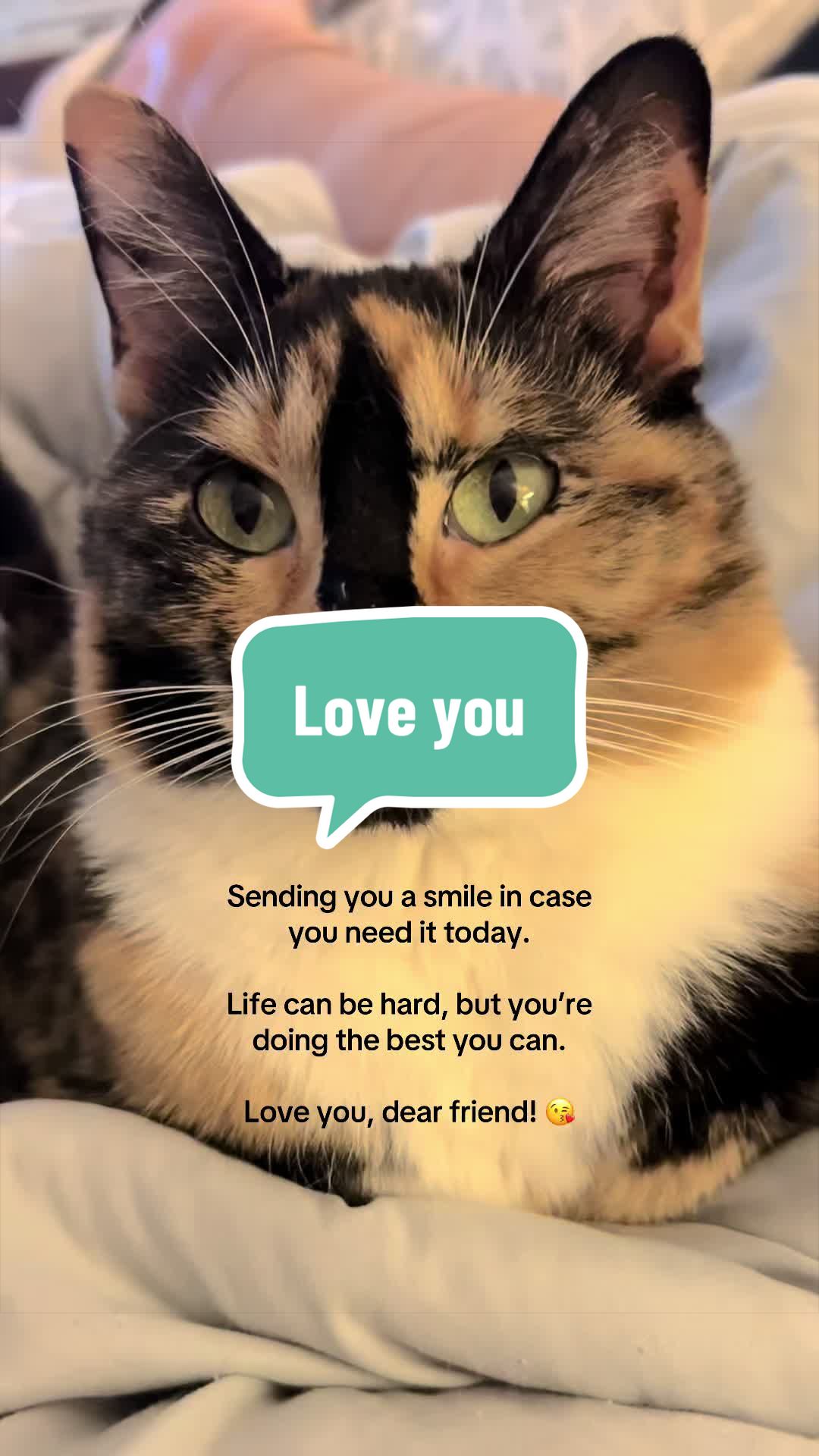 @SnickersTheSmilingCat