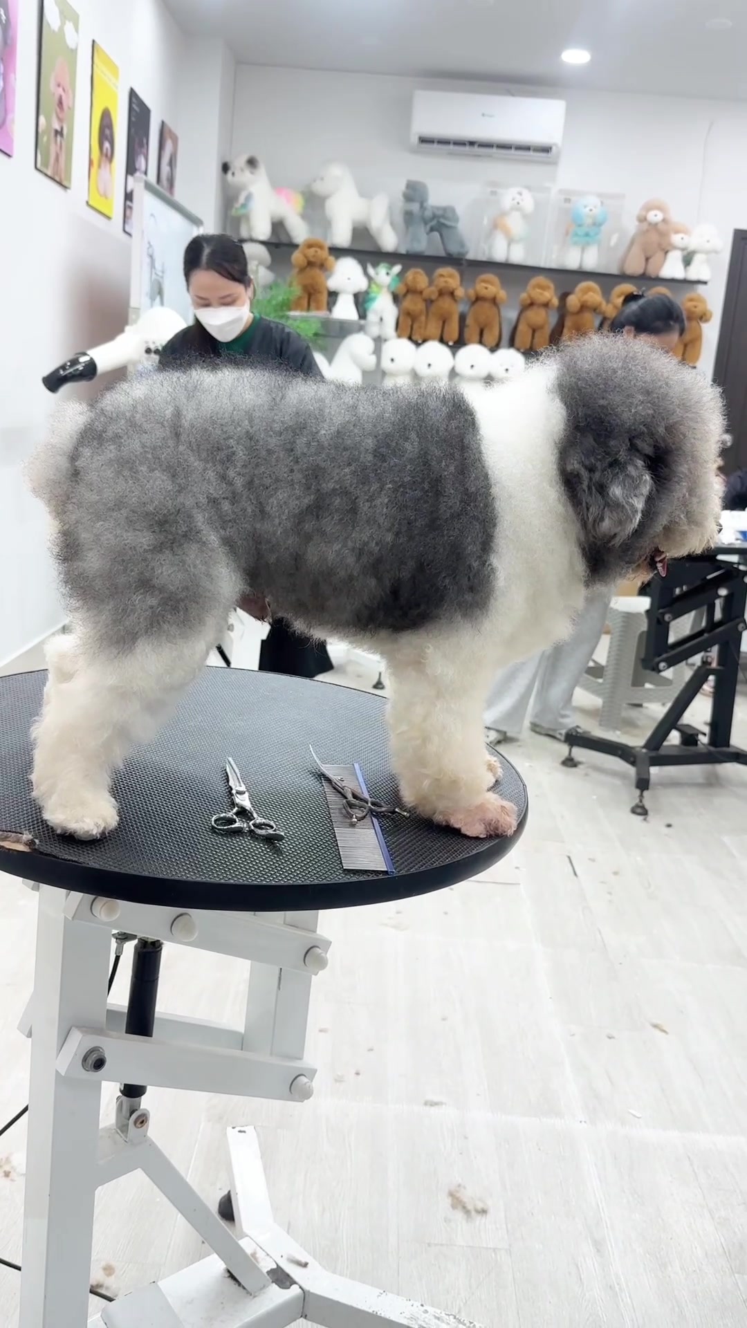 @TuongVan Petstylist