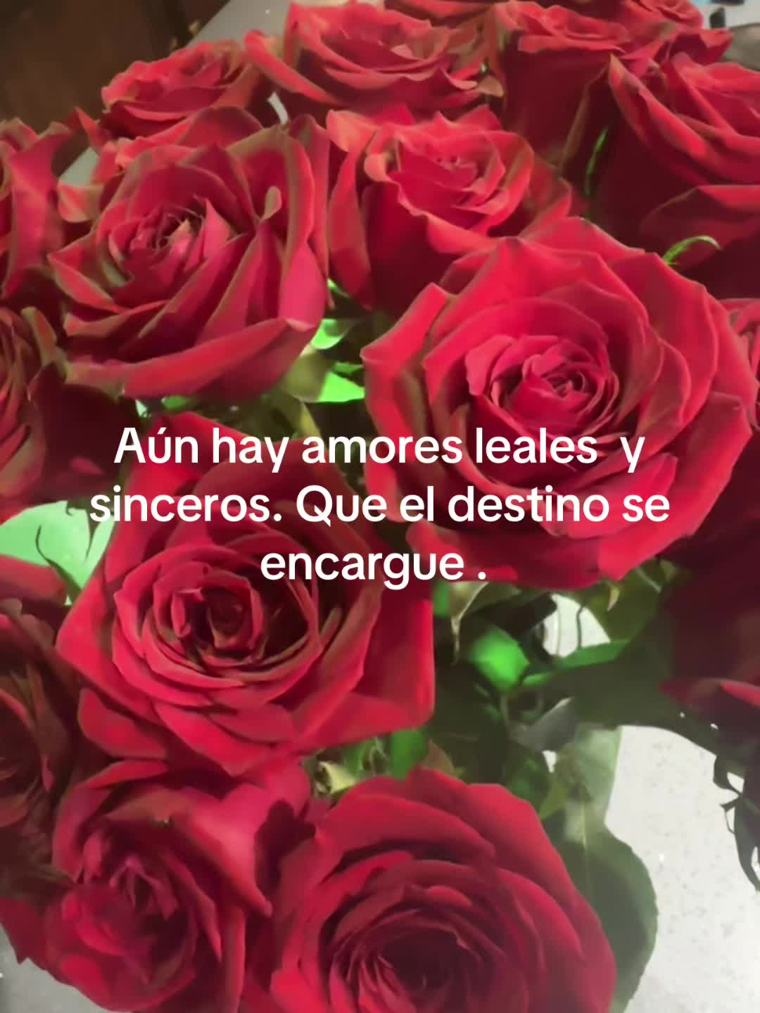 @veronicaramirez3183