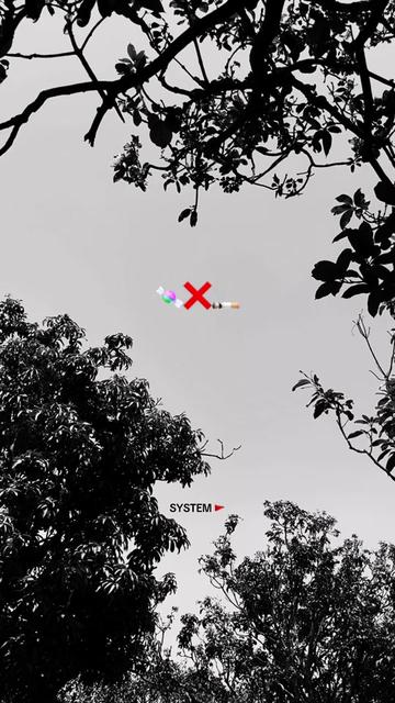 @SYSTEM 🚩