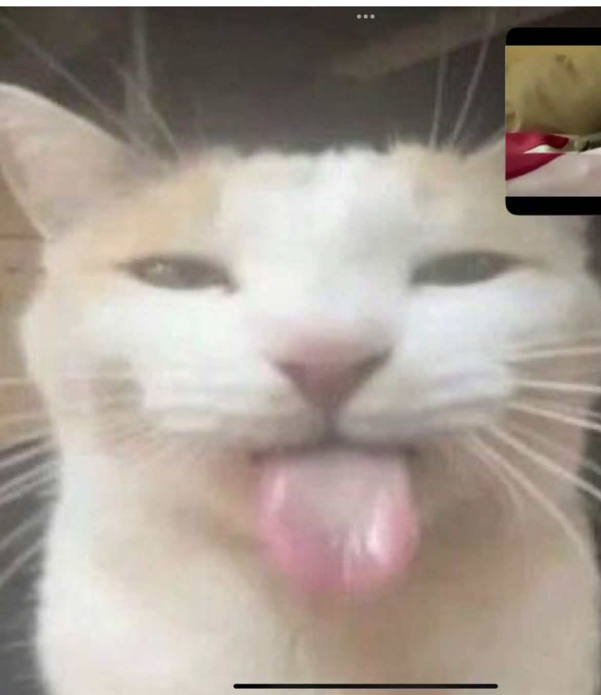 @amani 𝜗𝜚 ࣪˖ || home
