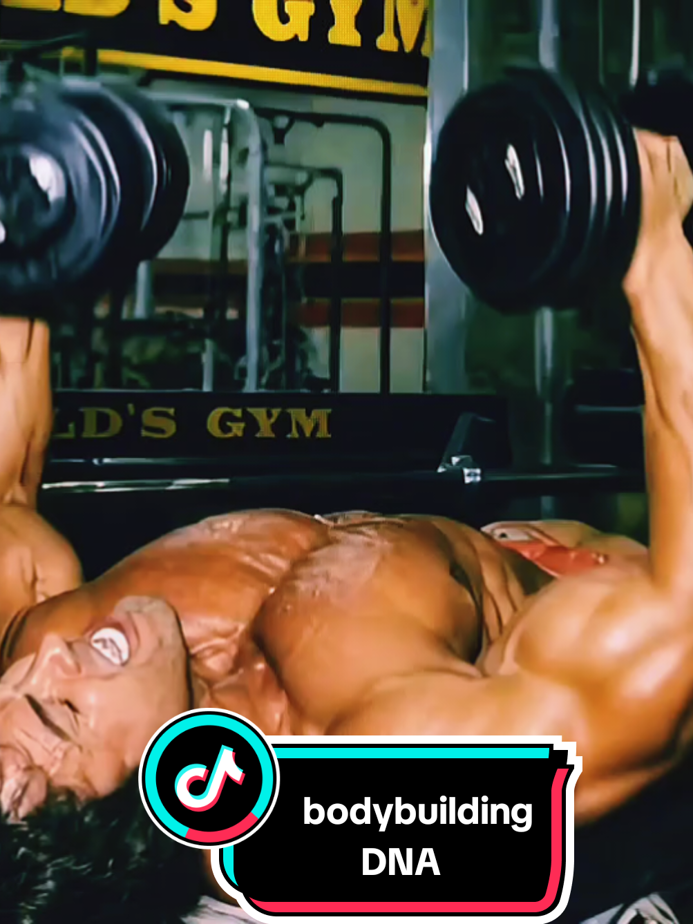 @bodybuildingDNA