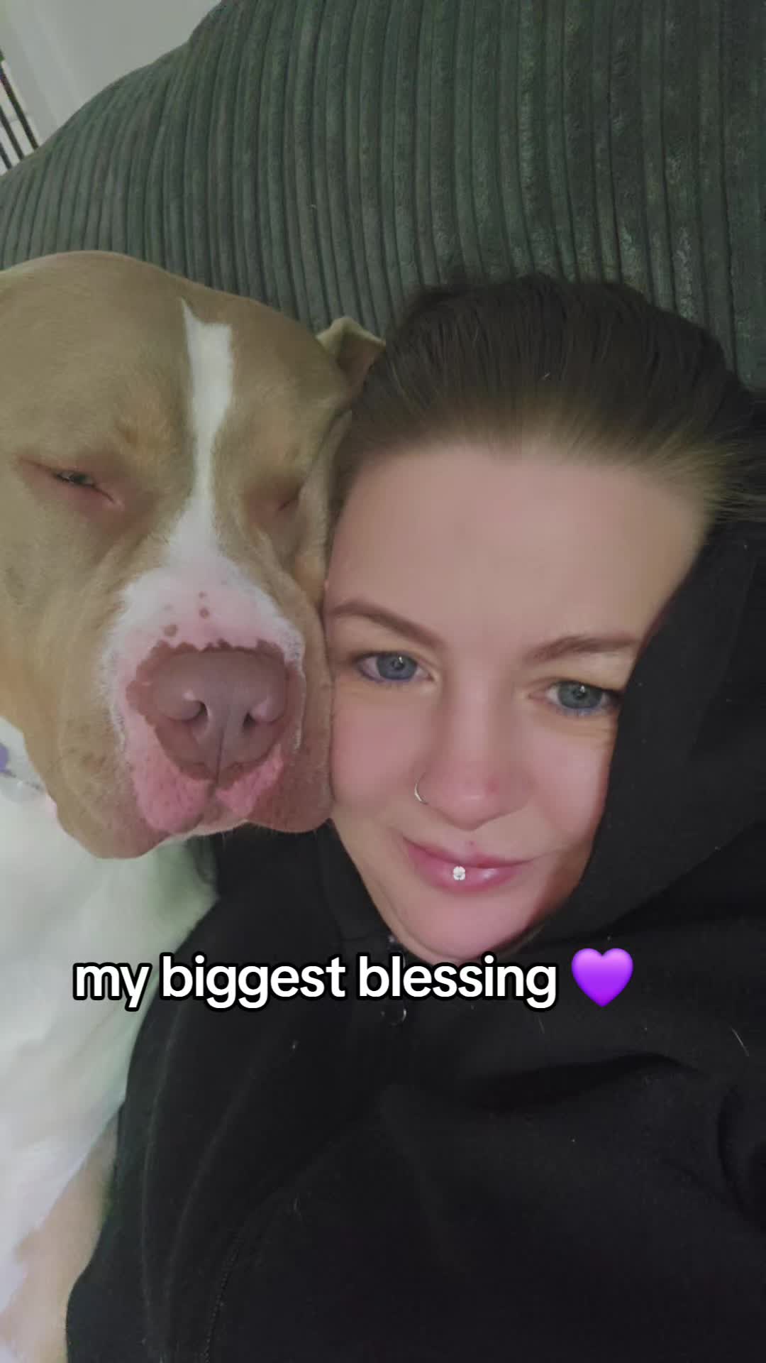 @mybullysandme🐶🇬🇧 (kelly)
