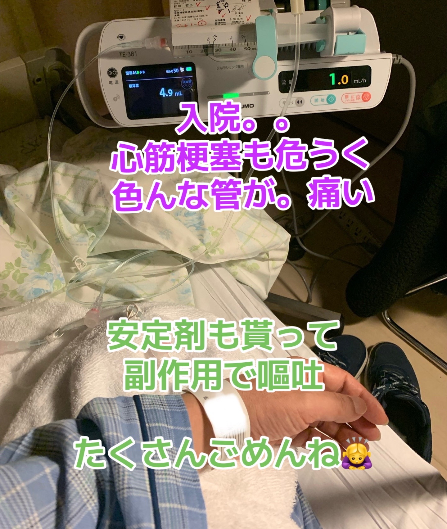@✈️🦅🐹 チョロたん 🐹🦅✈️