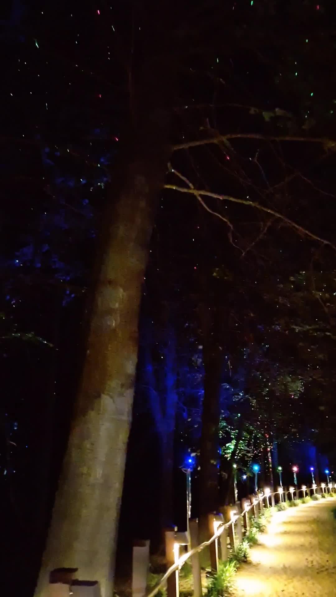 @캔디