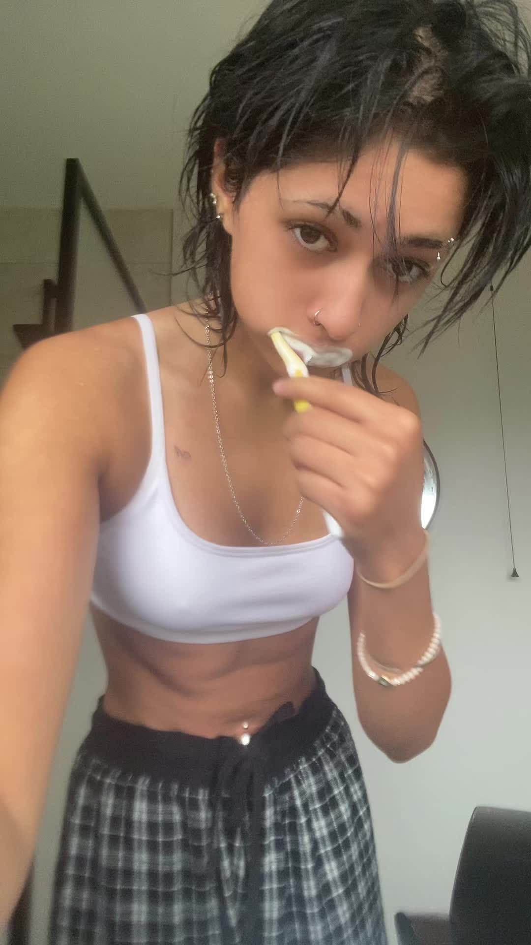 @segsycelerystick