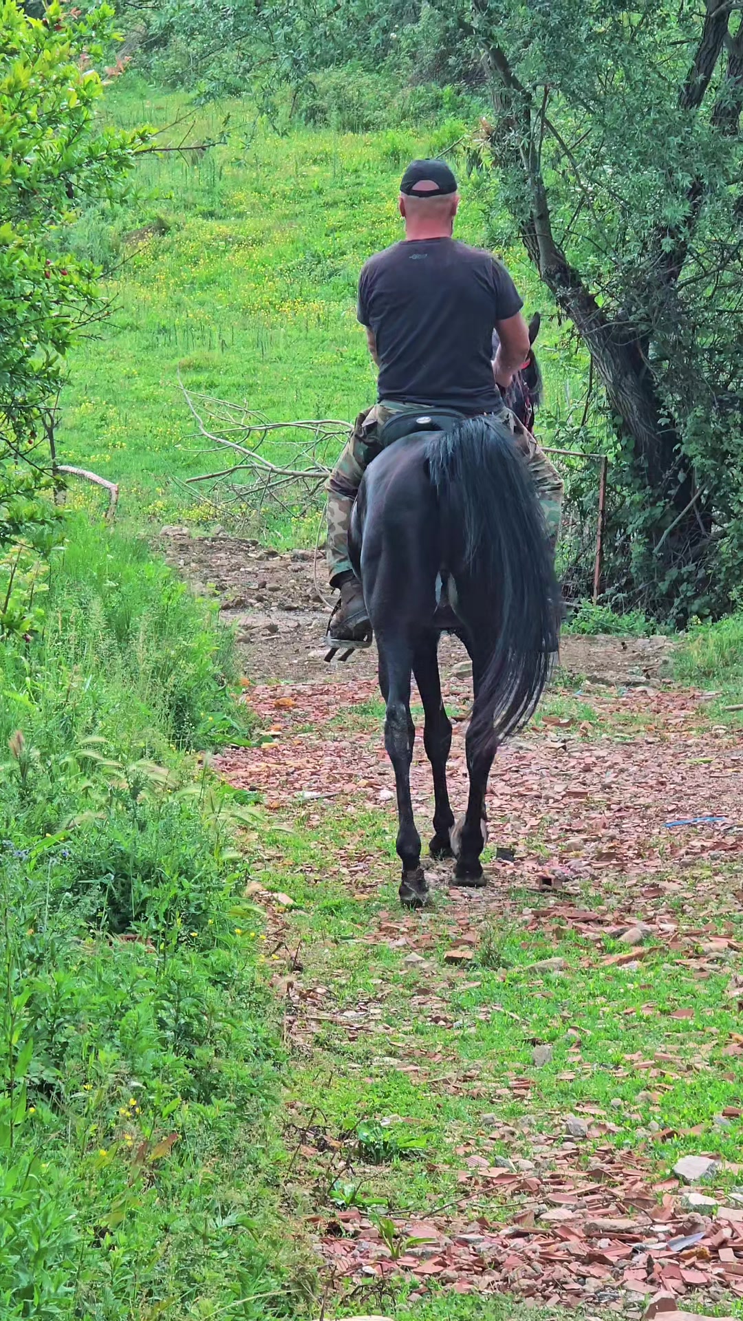@Horse Training Center Albania