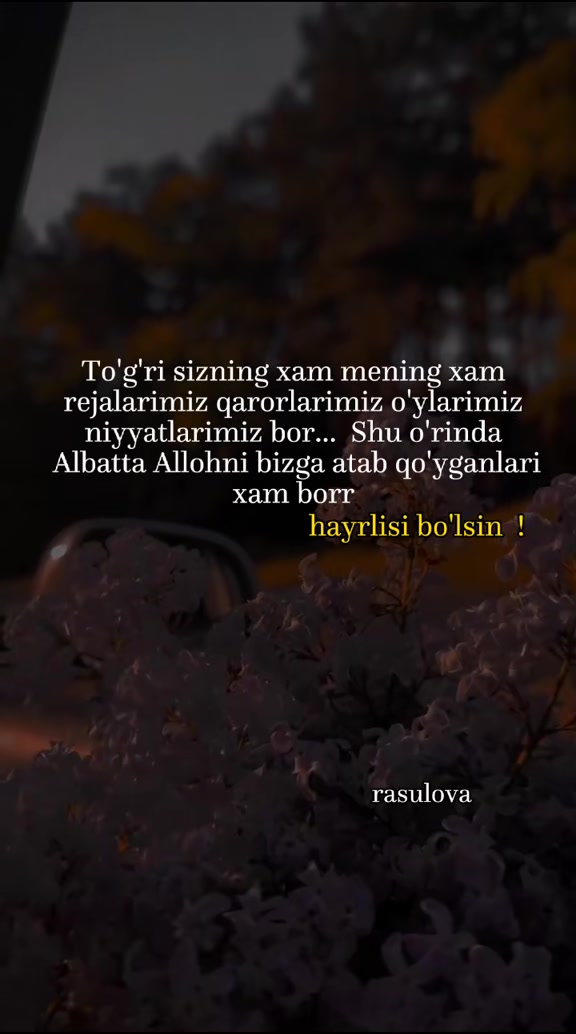 @rasulova