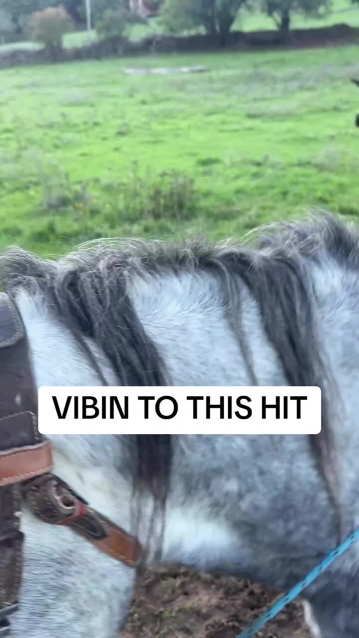 @𝙍𝙚𝙜𝙜𝙖𝙚𝙩𝙤𝙣