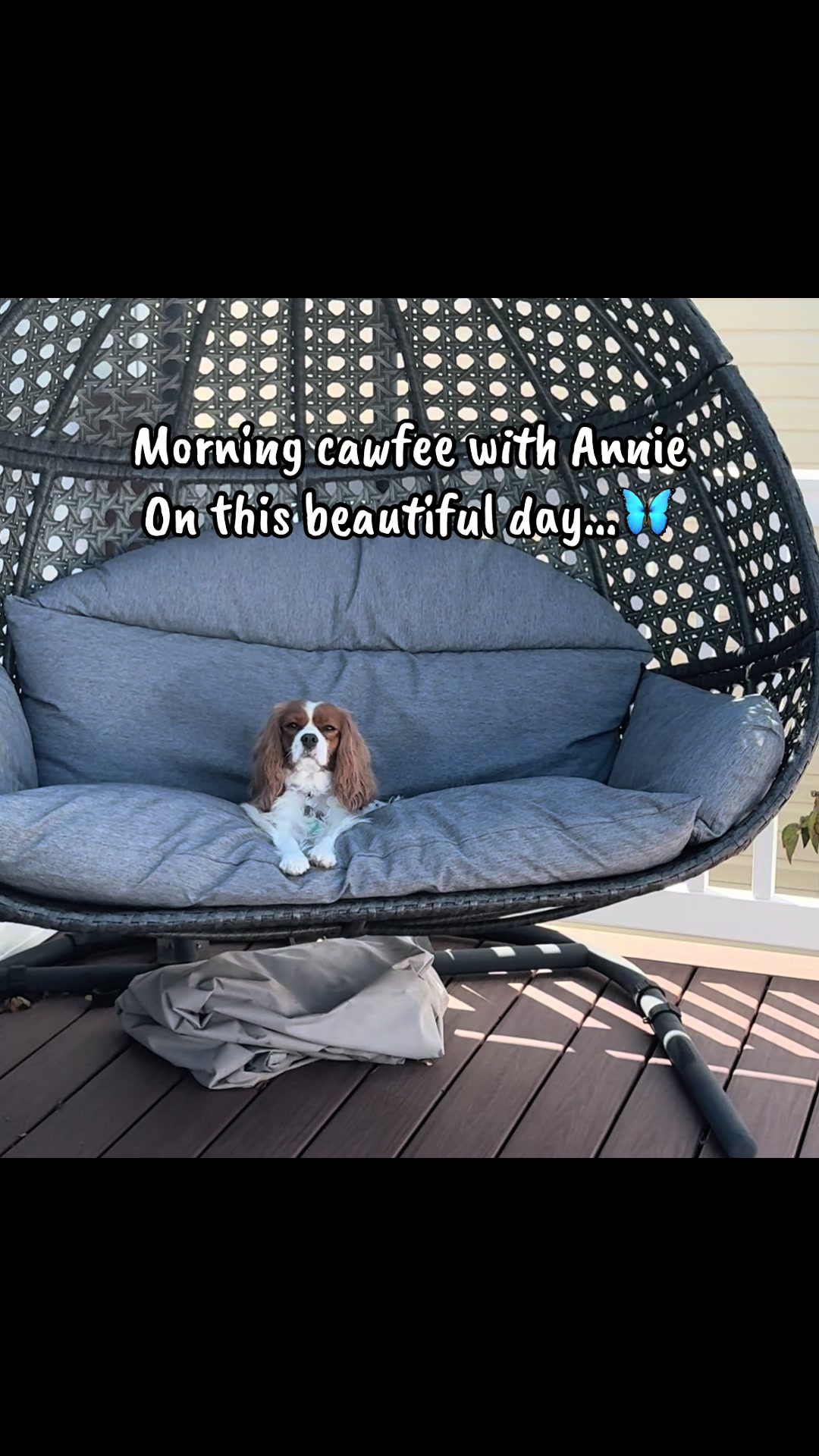 @annie_rae_the_cavalier