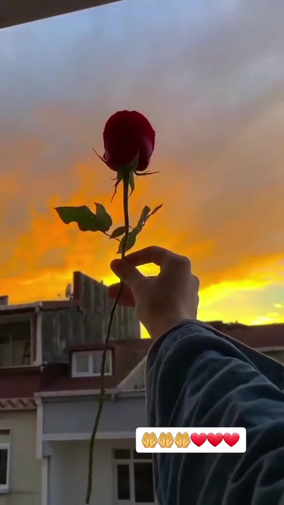@𝙱𝚎𝚕𝚊ꨄ