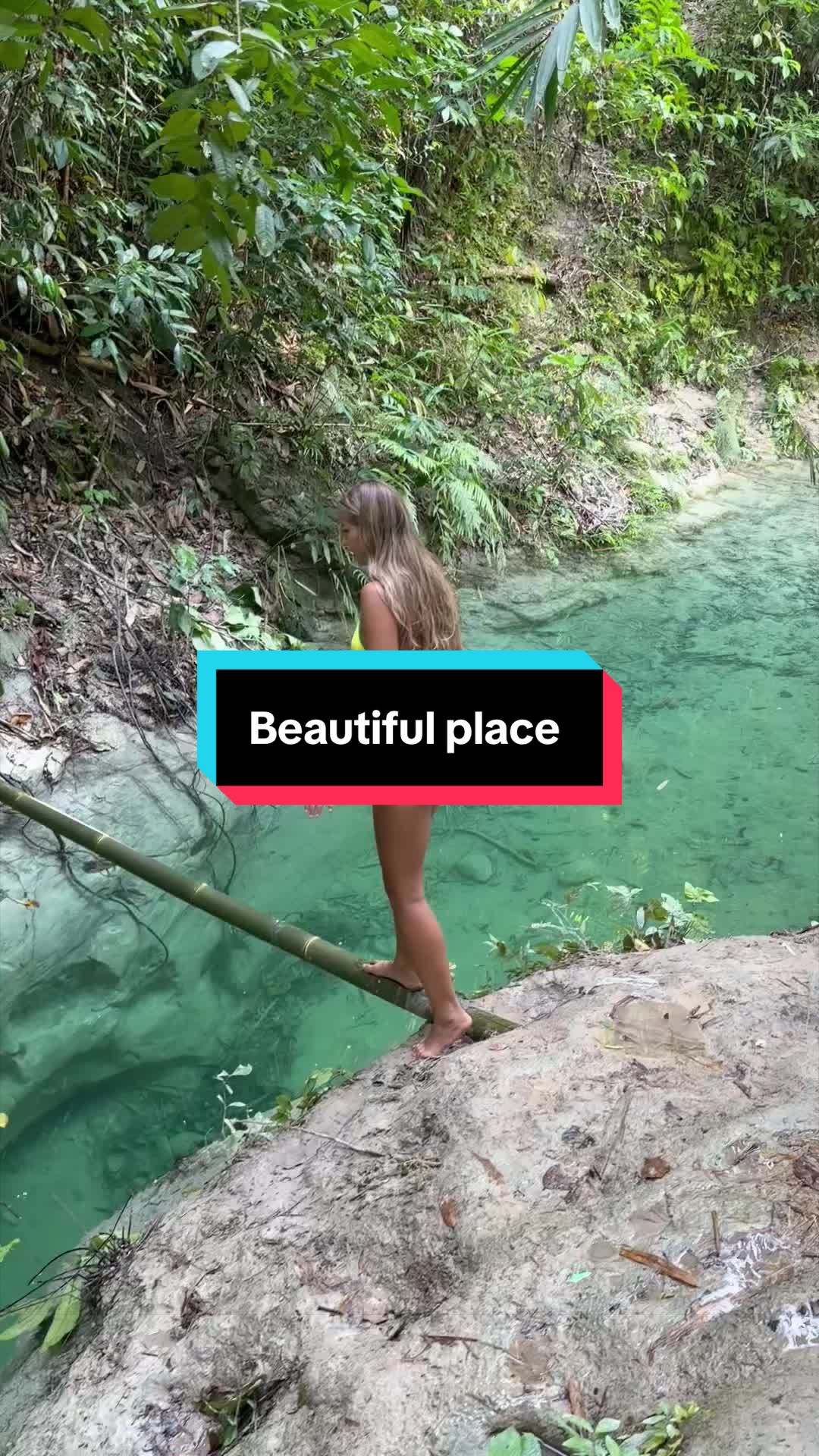 @Haidainlume 🌍