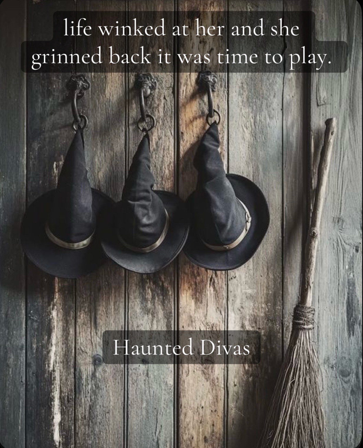 @haunted.divas