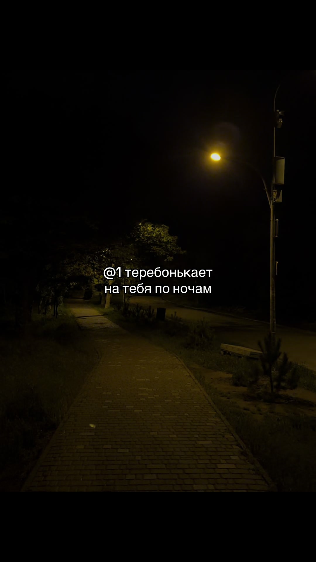@мяу       мяуууу