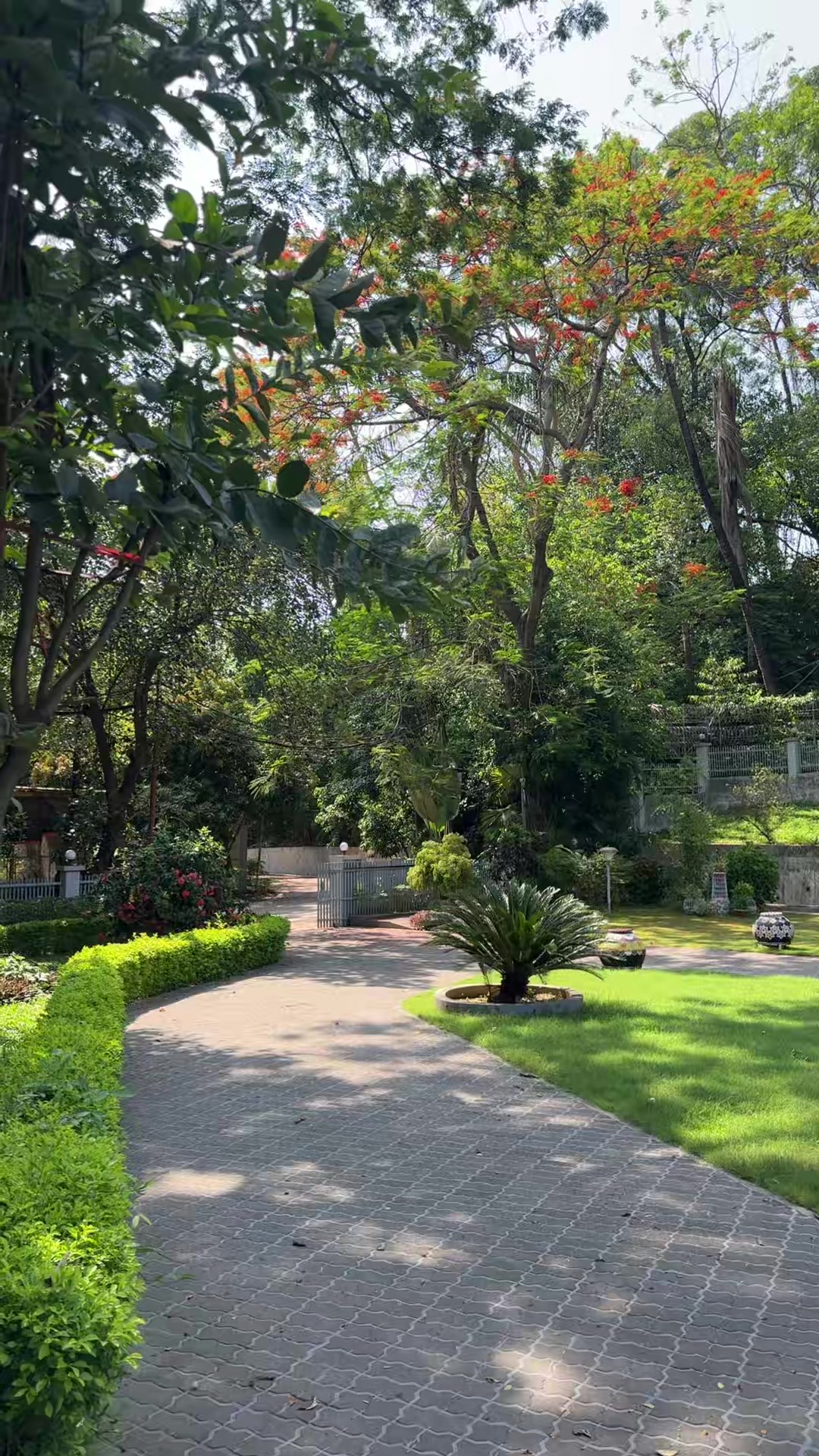 @জীবন মানেই,, টক, ঝাল, মিষ্টি