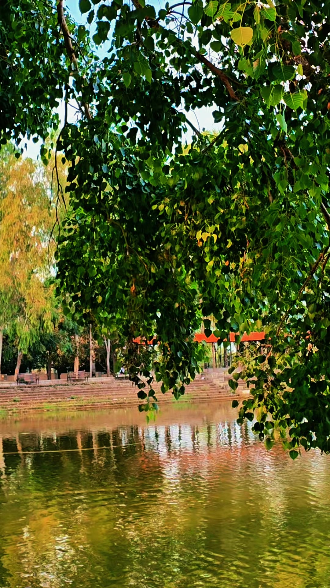 @Naresh Kumar Thakur