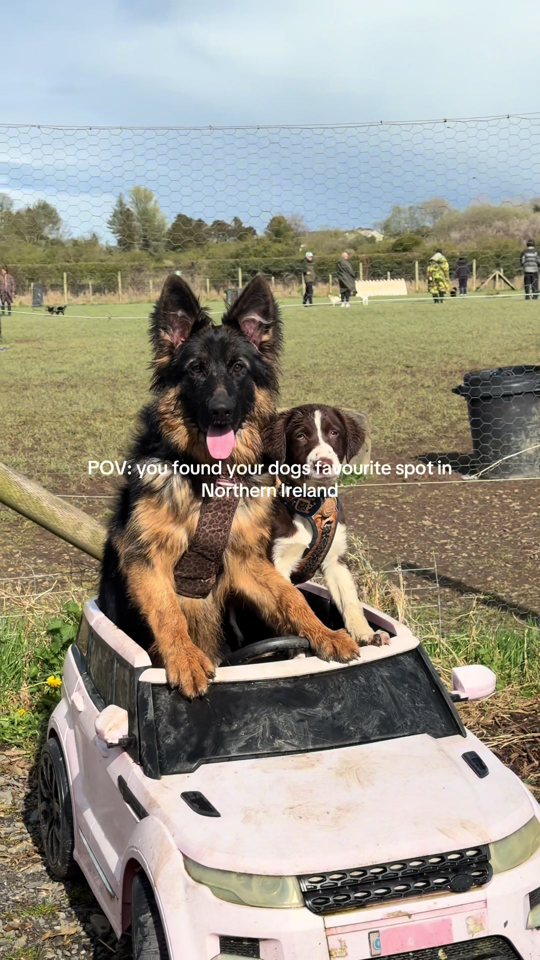@Wild River Dog Park