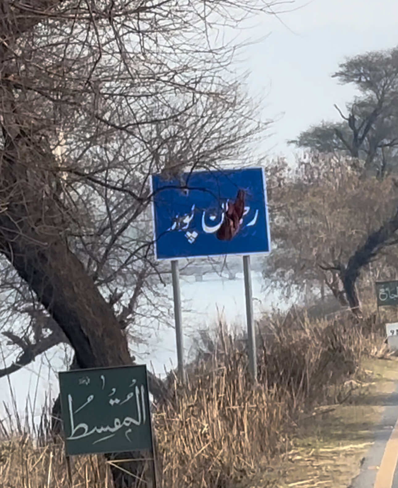 @Dr Sana 4696