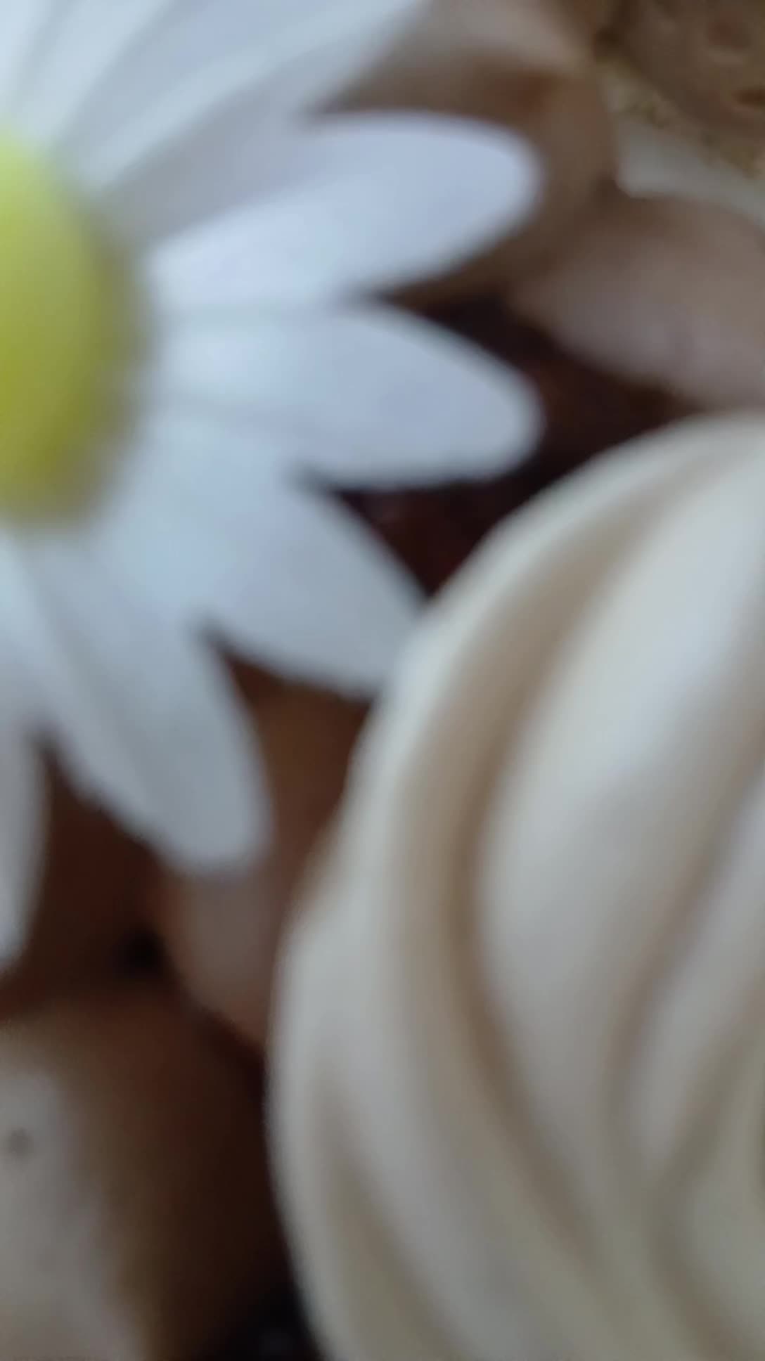 @Azalée