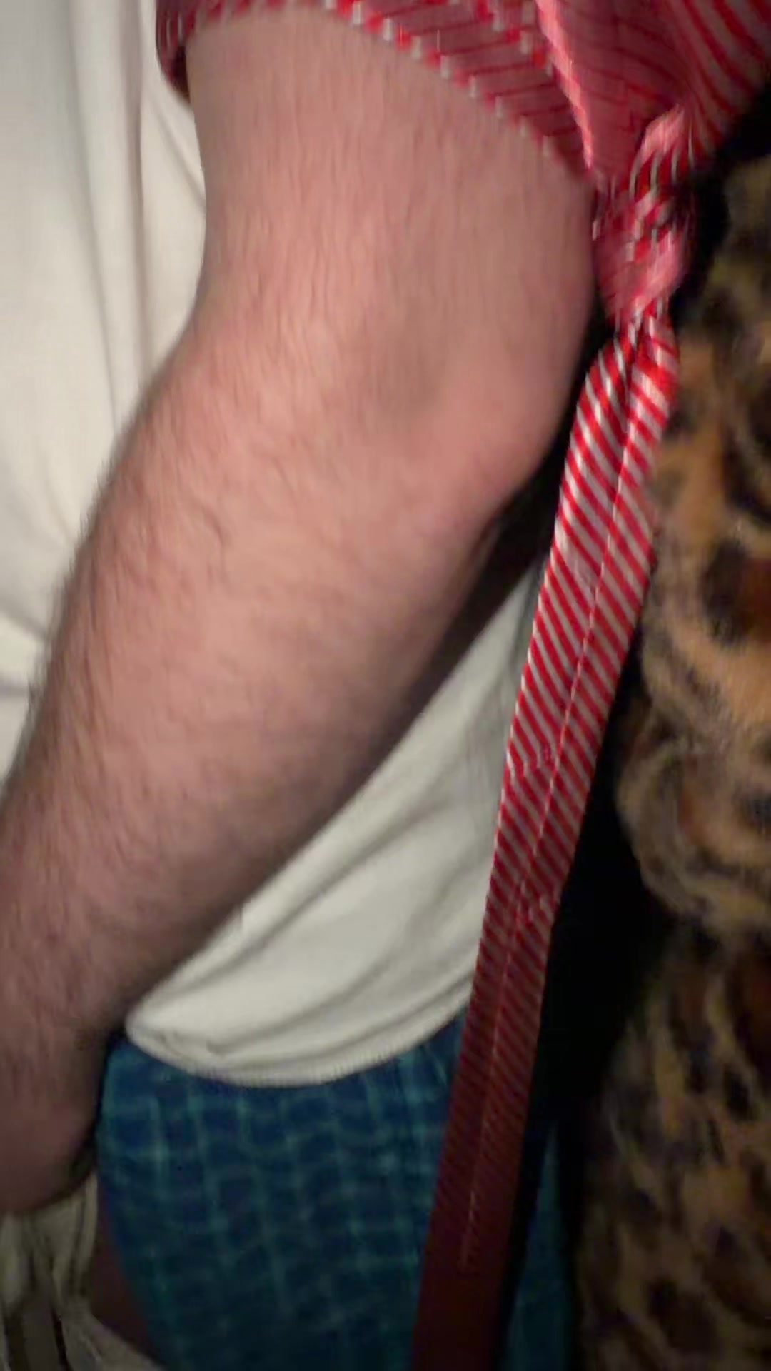 @EarthlingFromPluto