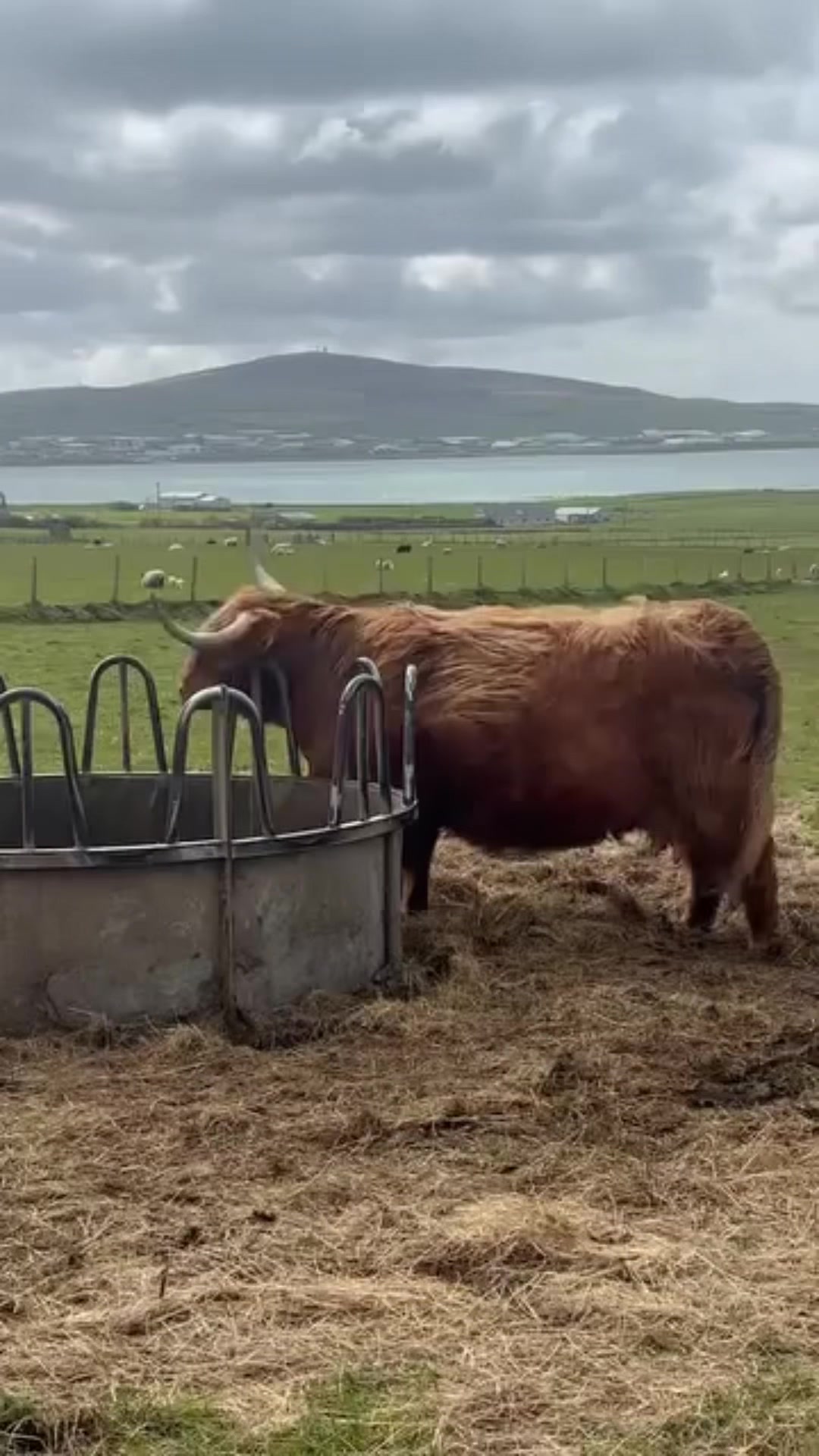 @Orkney Uncovered