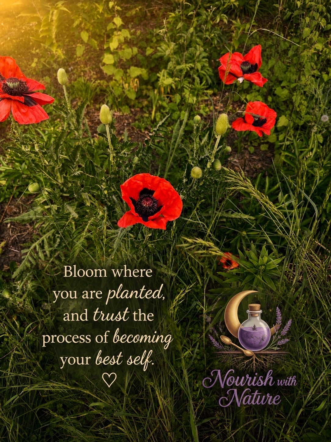 @Nourish with Nature LLC