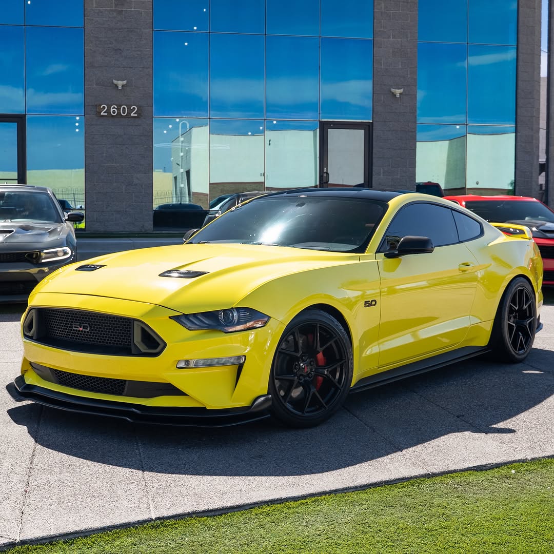 @Becky Mustang Parts