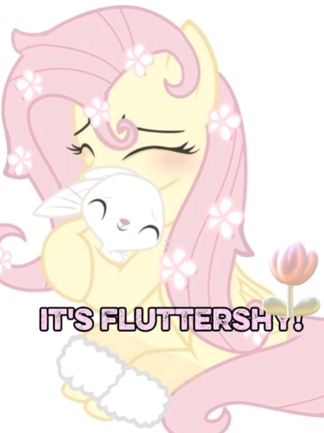 @🌸Fluttershy⭐Rants🌸