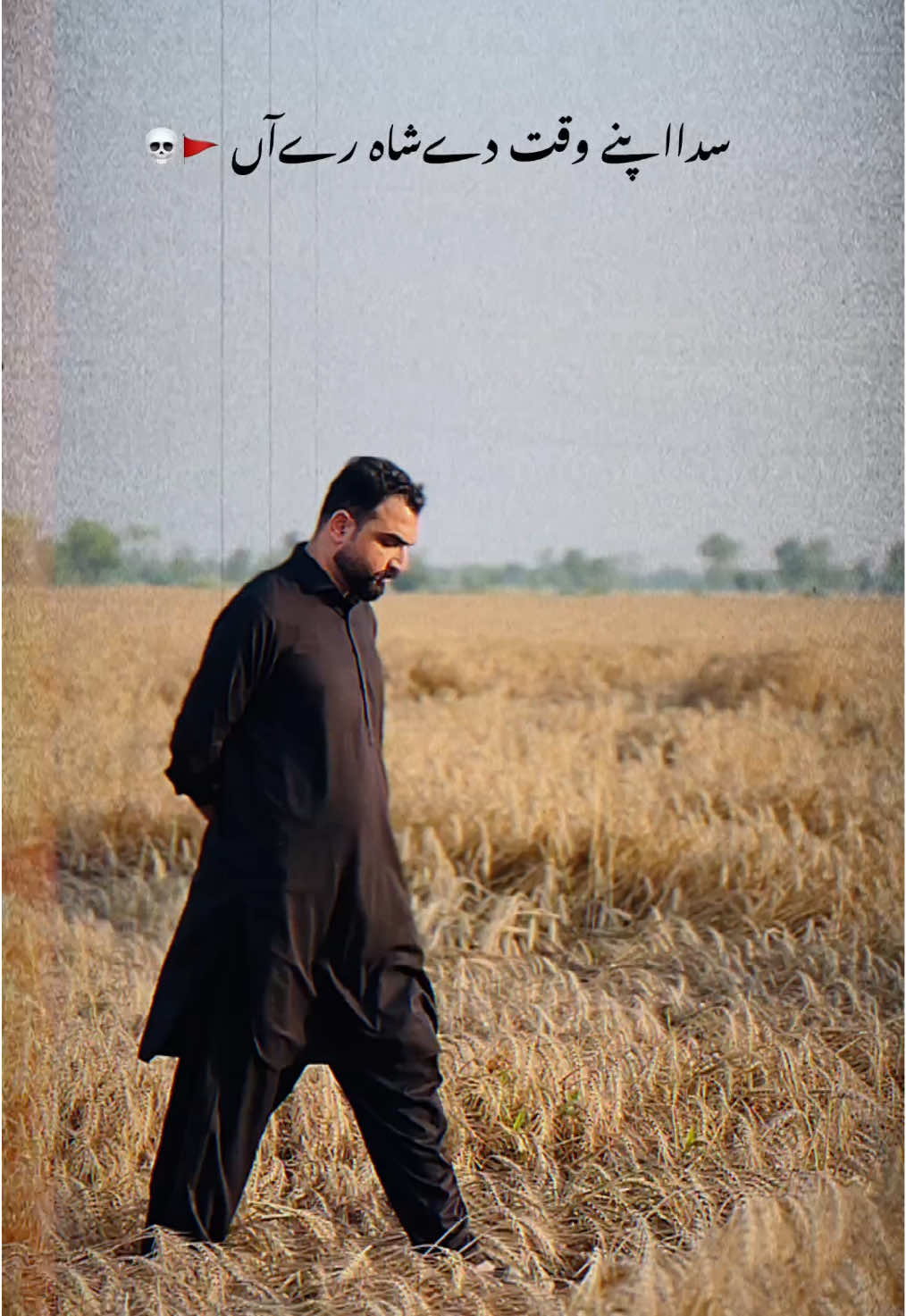 @Taimoor Shah