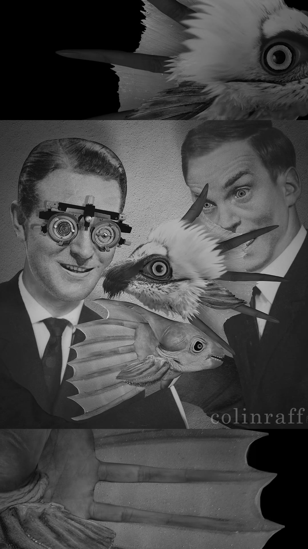 Colin Raff (@colinraffofficial) - Urlebird
