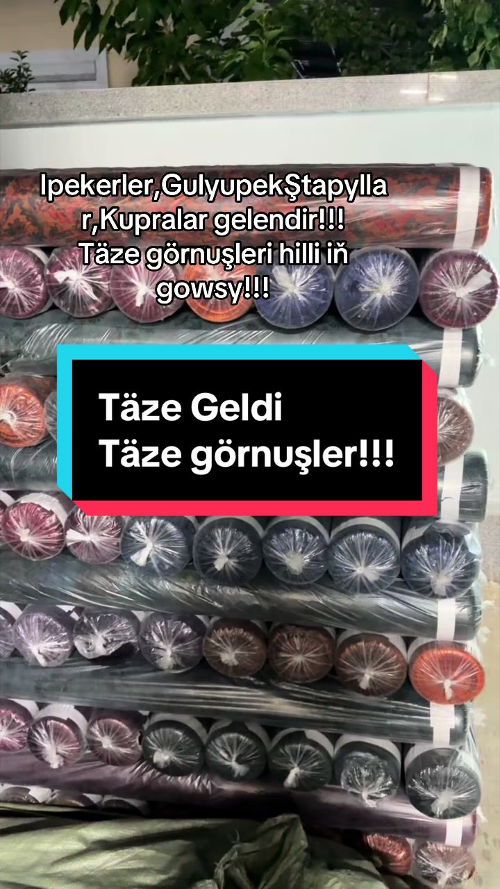 @Birinji el Optam Stapyllar1