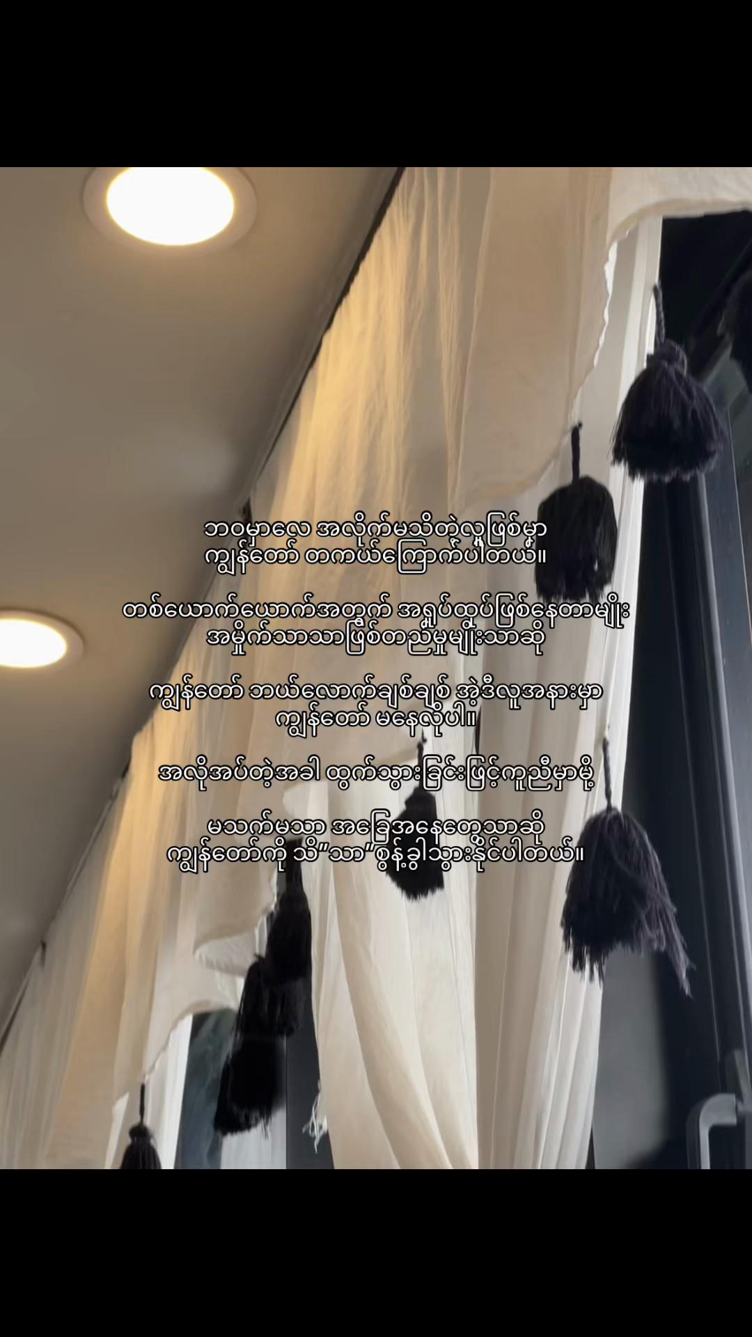 @Aidan🐾🩶