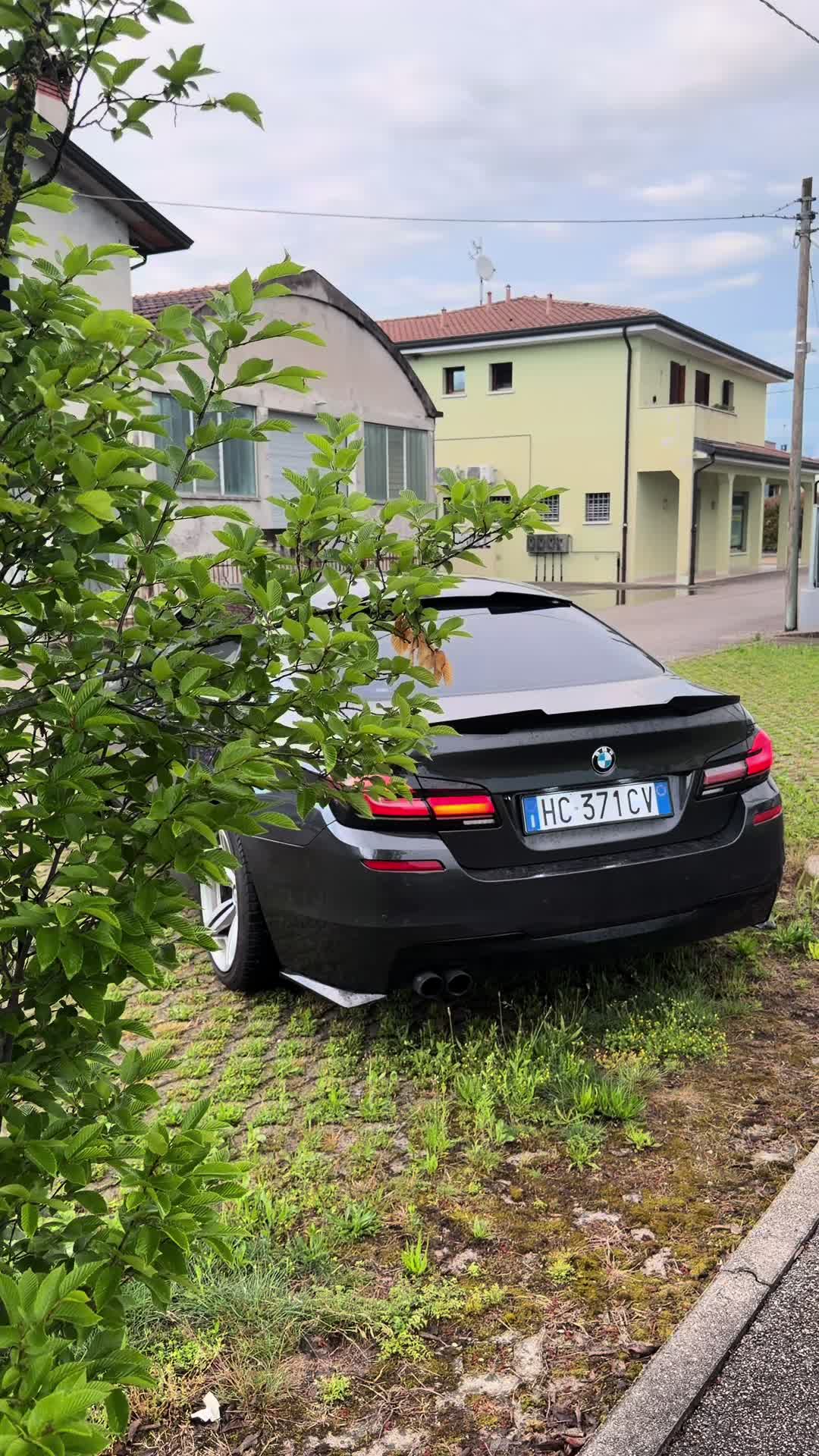 @mariotrifu_official