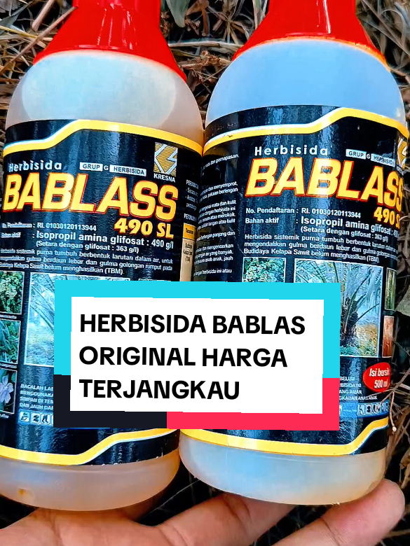 @yunfa lovers