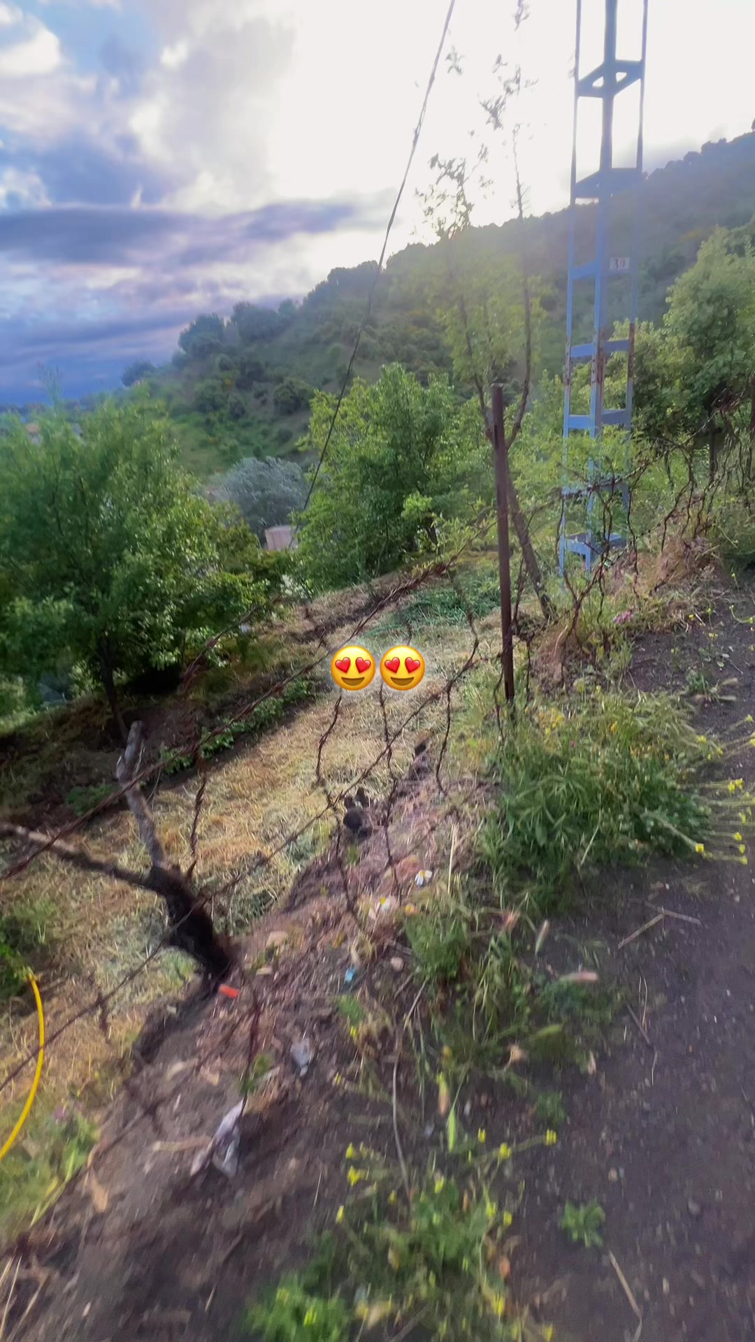 @ཞ