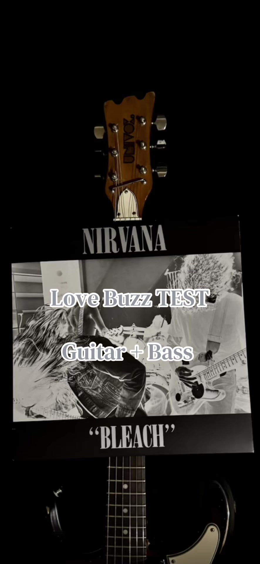 @twin_reverb_