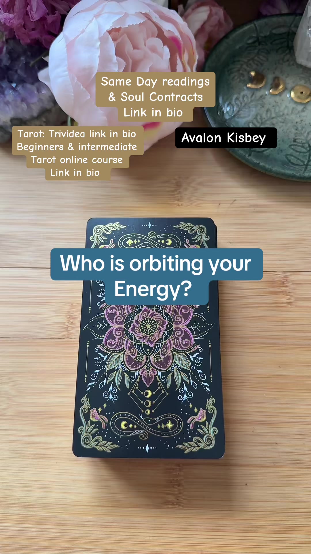 @Avalon Kisbey